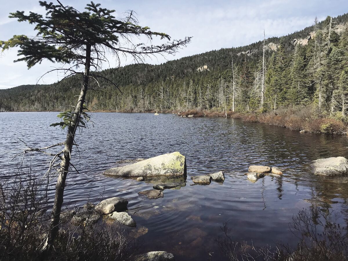 Hiking: Ethan Pond